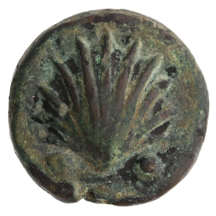 RRC 25/8, аверс, American Numismatic Society (ans)