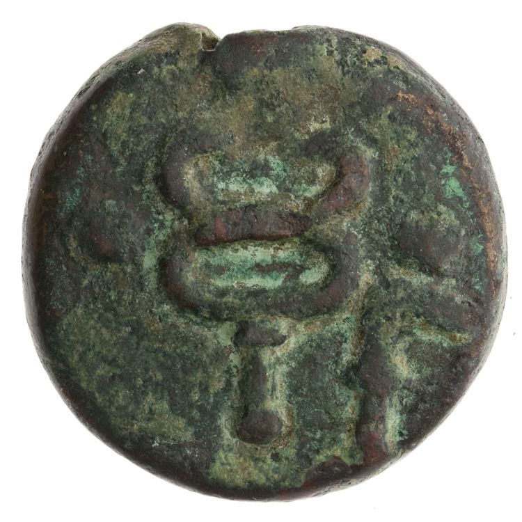 RRC 25/8, реверс, American Numismatic Society (ans)
