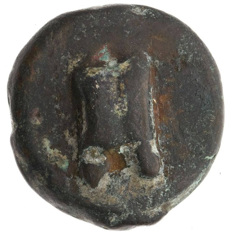 RRC 25/9, аверс, American Numismatic Society (ans)
