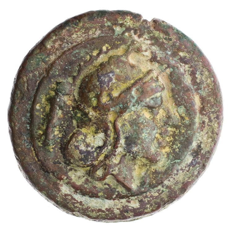 RRC 27/5, obverse, American Numismatic Society (ans)