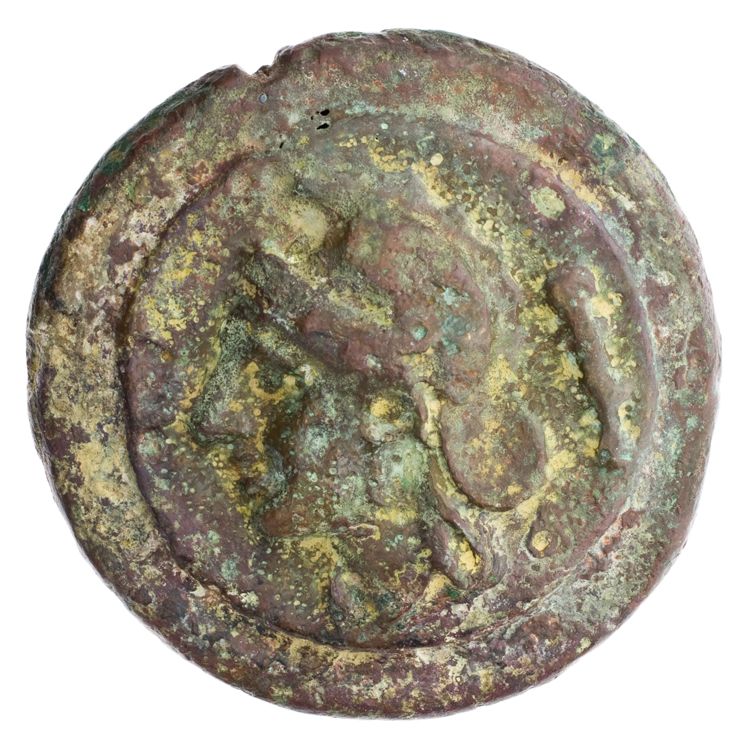 RRC 27/5, reverse, American Numismatic Society (ans)