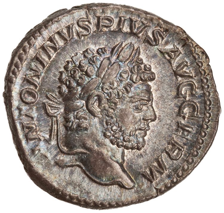 RIC IV Caracalla 246, аверс, American Numismatic Society (ans)