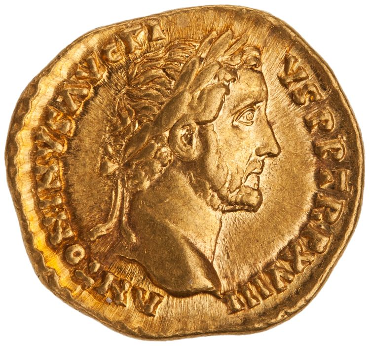 RIC III Antoninus Pius 241, аверс, American Numismatic Society (ans)
