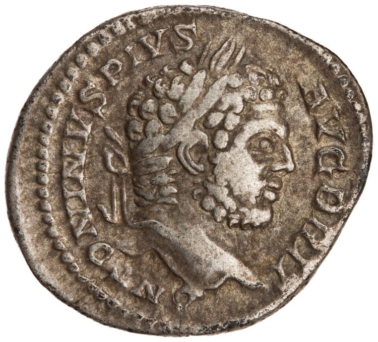 RIC IV Caracalla 196, obverse, American Numismatic Society (ans)