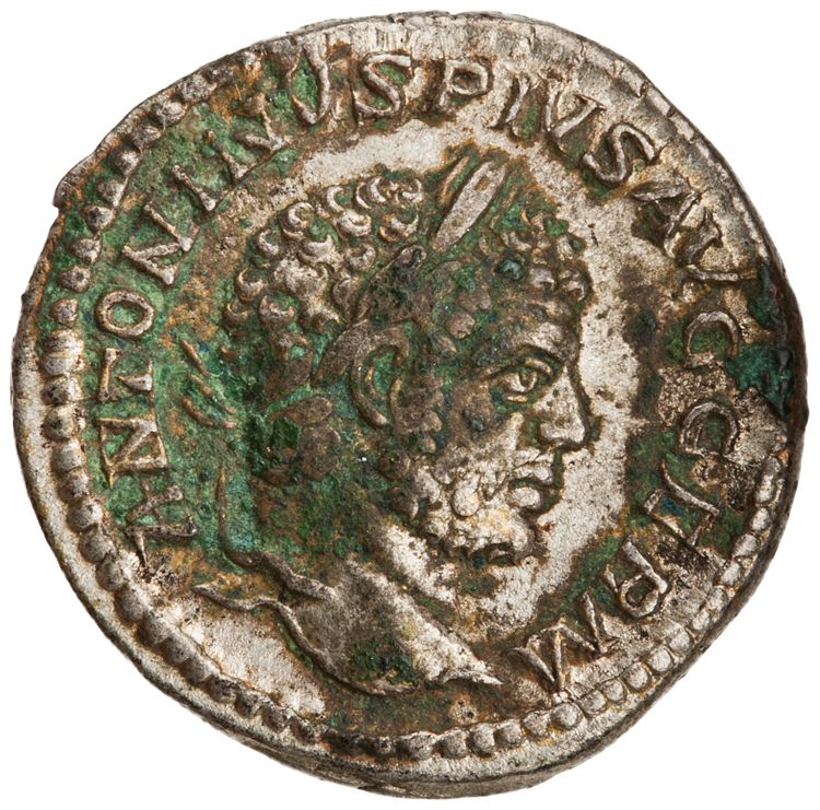 RIC IV Caracalla 253, аверс, American Numismatic Society (ans)