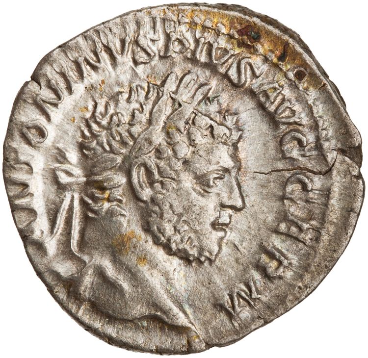 RIC IV Caracalla 268, аверс, American Numismatic Society (ans)