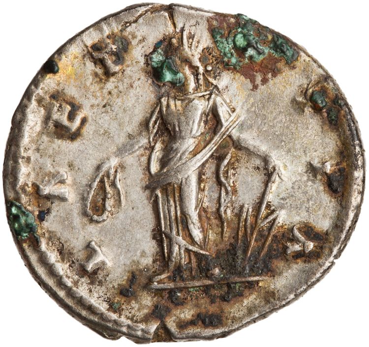 реверс RIC IV Septimius Severus 561 (denarius)