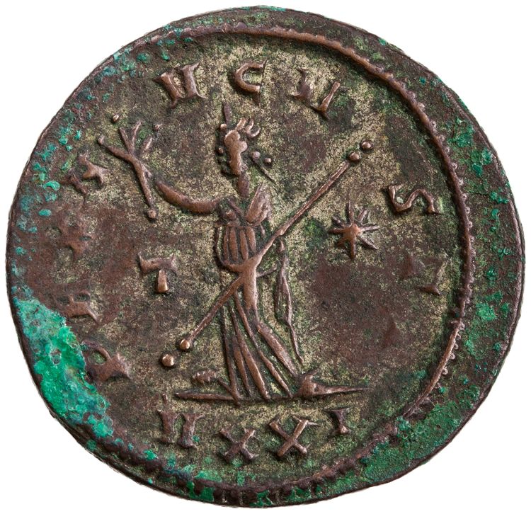 RIC V Probus 517, реверс, American Numismatic Society (ans)