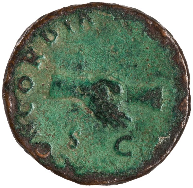 RIC II Nerva 53, reverse, American Numismatic Society (ans)