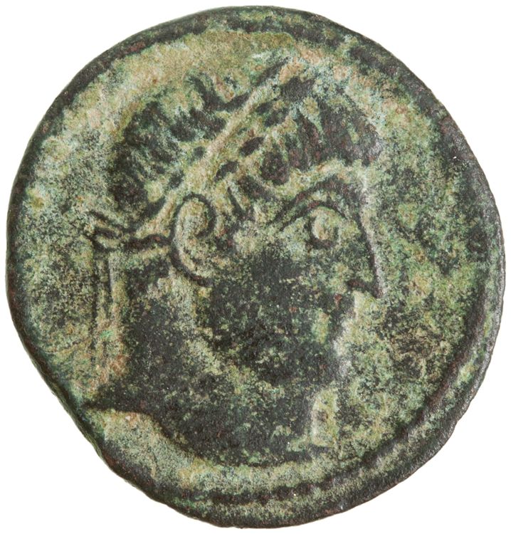 RIC VII Antioch 57, obverse, American Numismatic Society (ans)