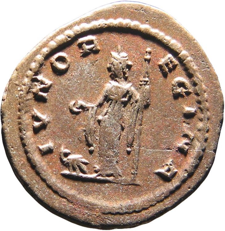 RIC V Claudius Gothicus 212, реверс, American Numismatic Society (ans)