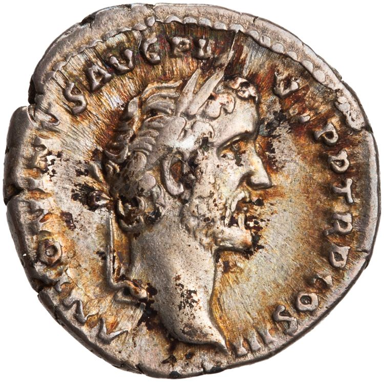 RIC III Antoninus Pius 63Bc, аверс, American Numismatic Society (ans)