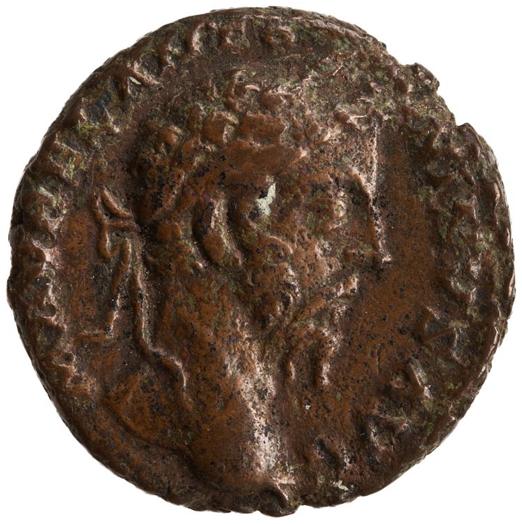 RIC III Marcus Aurelius 1247, obverse, American Numismatic Society (ans)