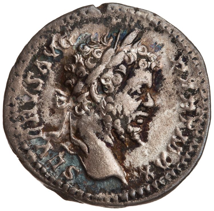 RIC IV Septimius Severus 171A (denarius), obverse, American Numismatic Society (ans)