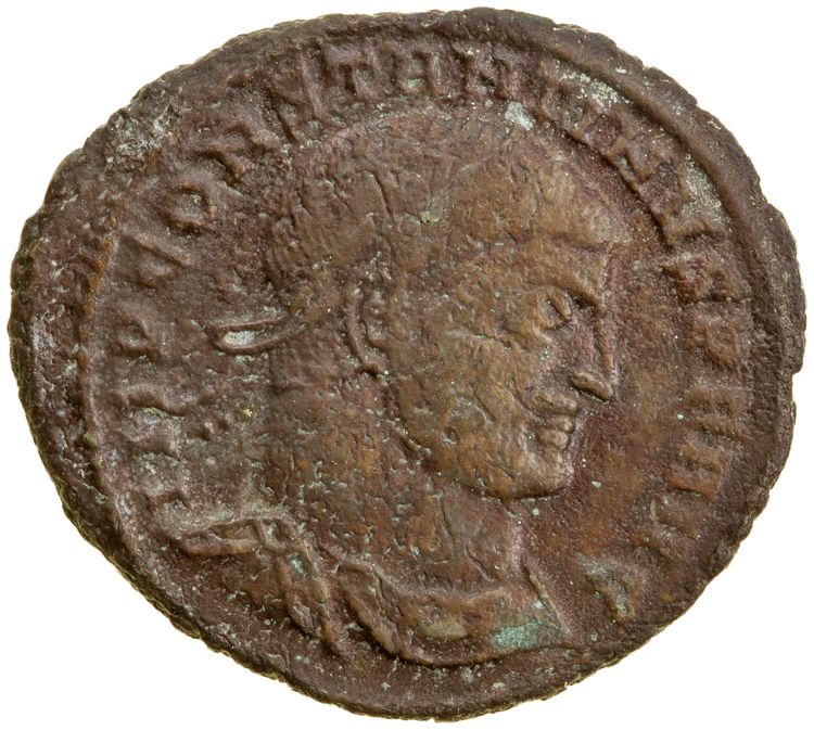 RIC VII Siscia 31, obverse, American Numismatic Society (ans)