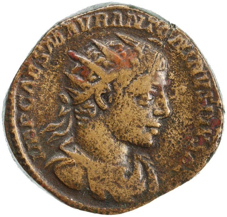 RIC IV Elagabalus 324, аверс, American Numismatic Society (ans)