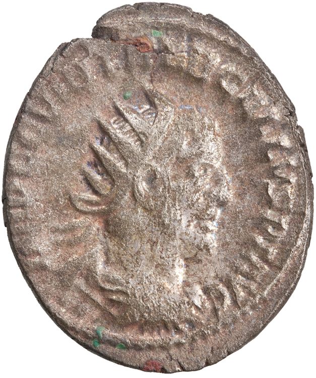RIC IV Trebonianus Gallus 80: Subtype 3, obverse, American Numismatic Society (ans)