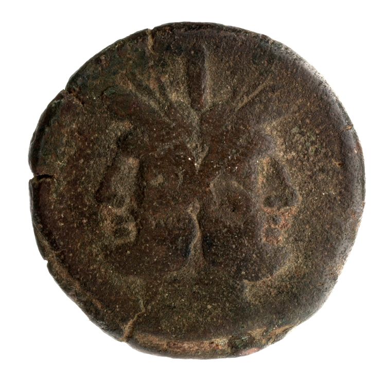 RRC 134/2, obverse, American Numismatic Society (ans)