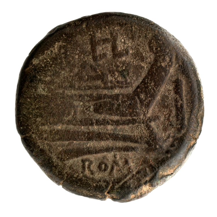RRC 134/2, reverse, American Numismatic Society (ans)