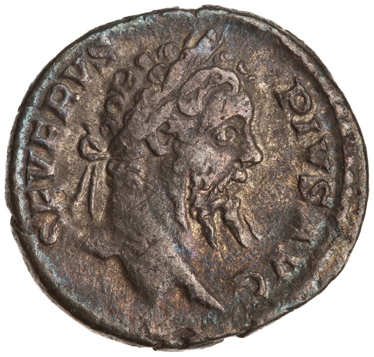 RIC IV Septimius Severus 201, аверс, American Numismatic Society (ans)