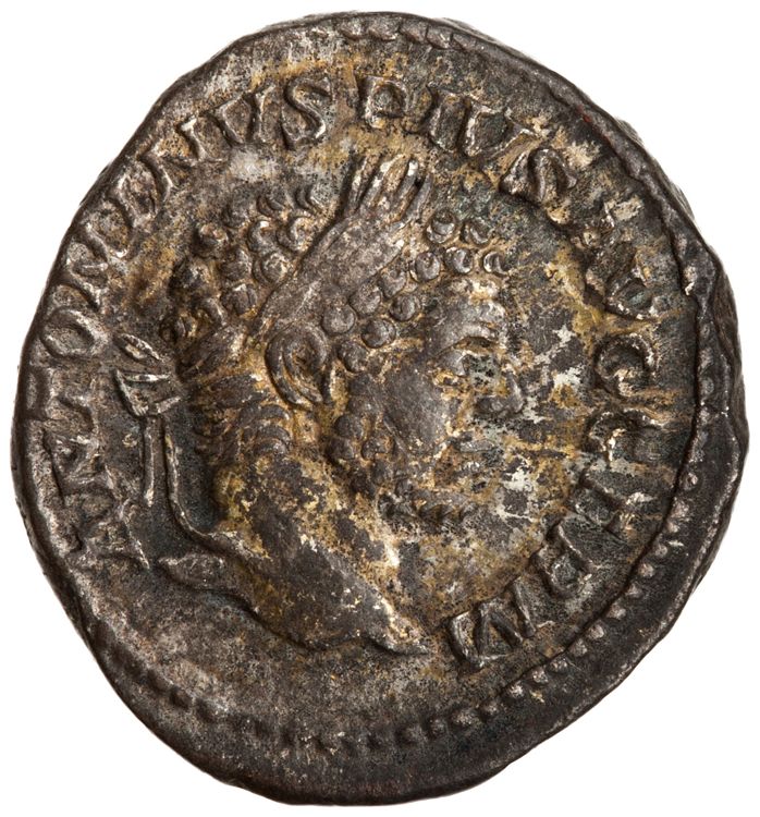 RIC IV Caracalla 268, аверс, American Numismatic Society (ans)