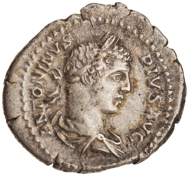 RIC IV Caracalla 83b, аверс, American Numismatic Society (ans)