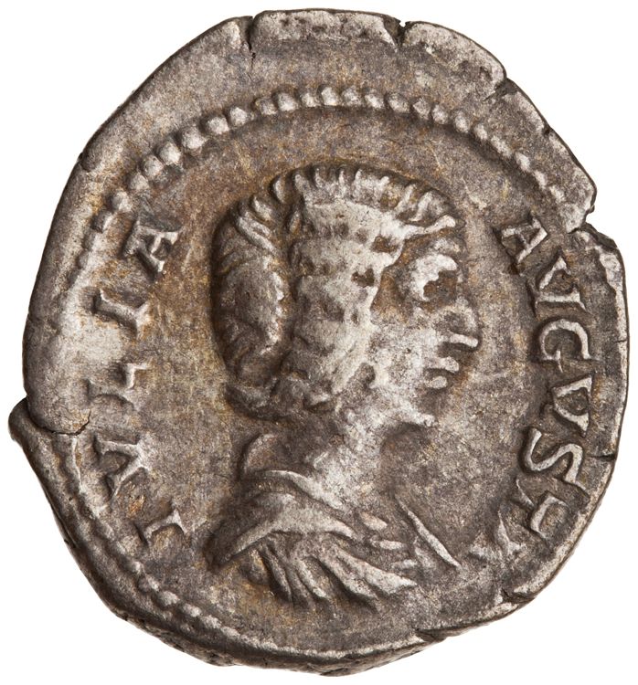 RIC IV Septimius Severus 551, obverse, American Numismatic Society (ans)