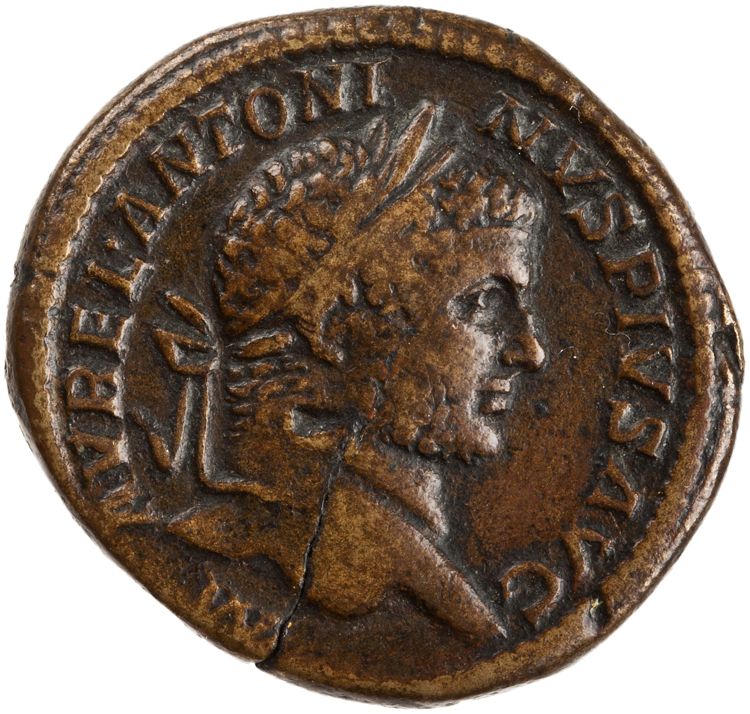 RIC IV Caracalla 451, аверс, American Numismatic Society (ans)
