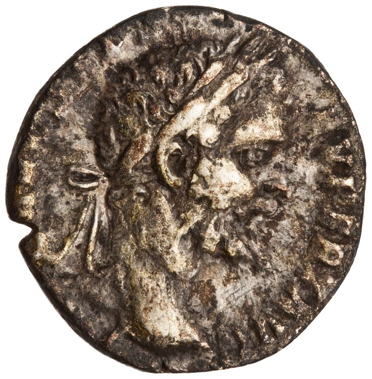 RIC IV Septimius Severus 17, аверс, American Numismatic Society (ans)