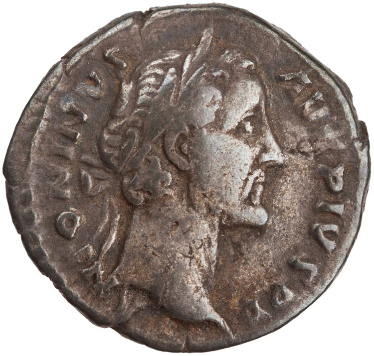RIC III Antoninus Pius 143 (denarius), аверс, American Numismatic Society (ans)