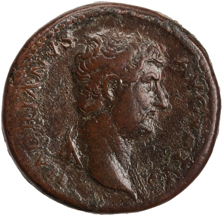 RIC II Hadrian 727c (as), аверс, American Numismatic Society (ans)