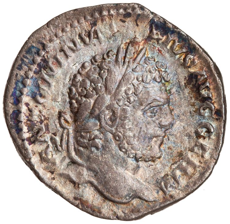 RIC IV Caracalla 246, аверс, American Numismatic Society (ans)
