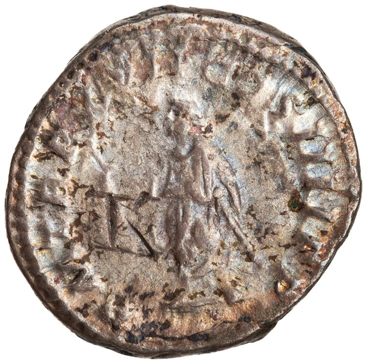 RIC IV Caracalla 246, реверс, American Numismatic Society (ans)