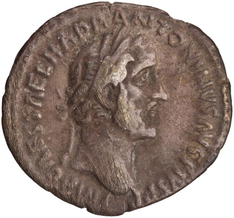 RIC III Antoninus Pius 201, аверс, American Numismatic Society (ans)