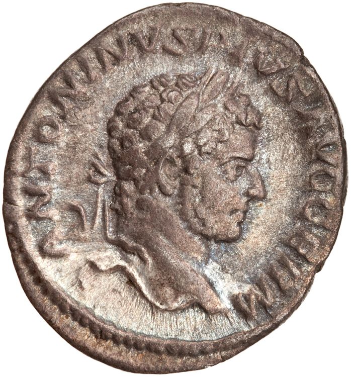 RIC IV Caracalla 246, аверс, American Numismatic Society (ans)