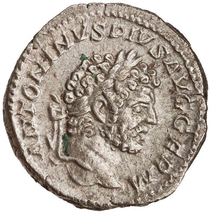 RIC IV Caracalla 246, аверс, American Numismatic Society (ans)