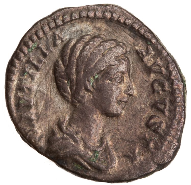 RIC IV Caracalla 363A, obverse, American Numismatic Society (ans)