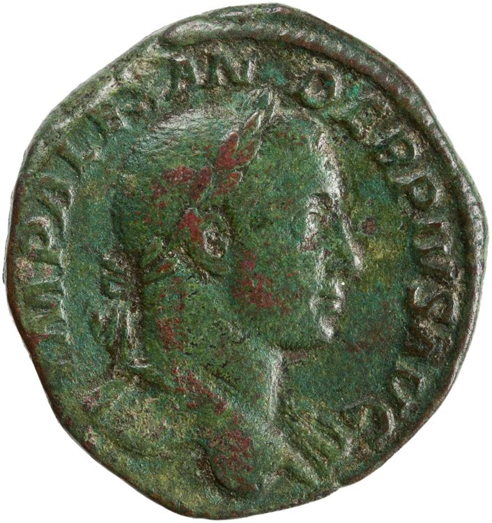RIC IV Severus Alexander 533, obverse, American Numismatic Society (ans)