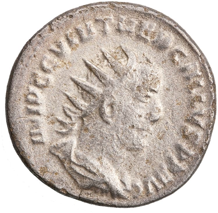 RIC IV Trebonianus Gallus 85, obverse, American Numismatic Society (ans)
