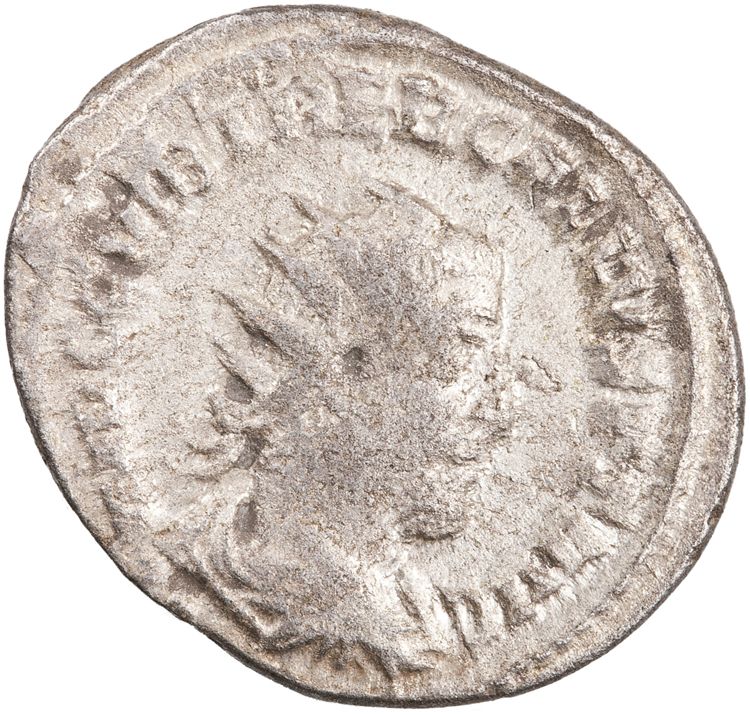 RIC IV Trebonianus Gallus 80: Subtype 3, obverse, American Numismatic Society (ans)