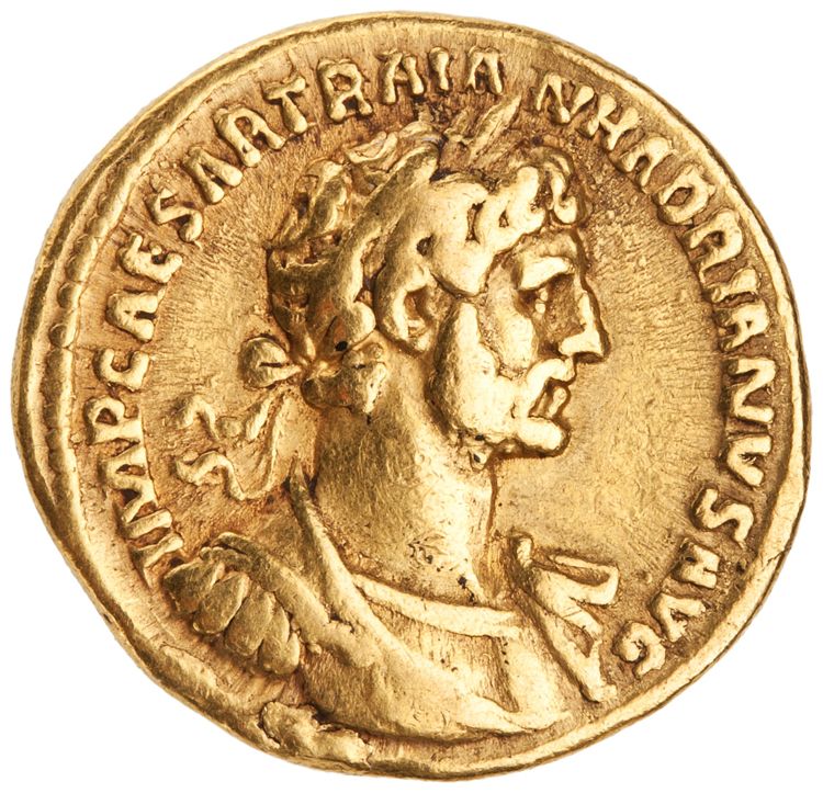 RIC II Hadrian 43B, аверс, American Numismatic Society (ans)