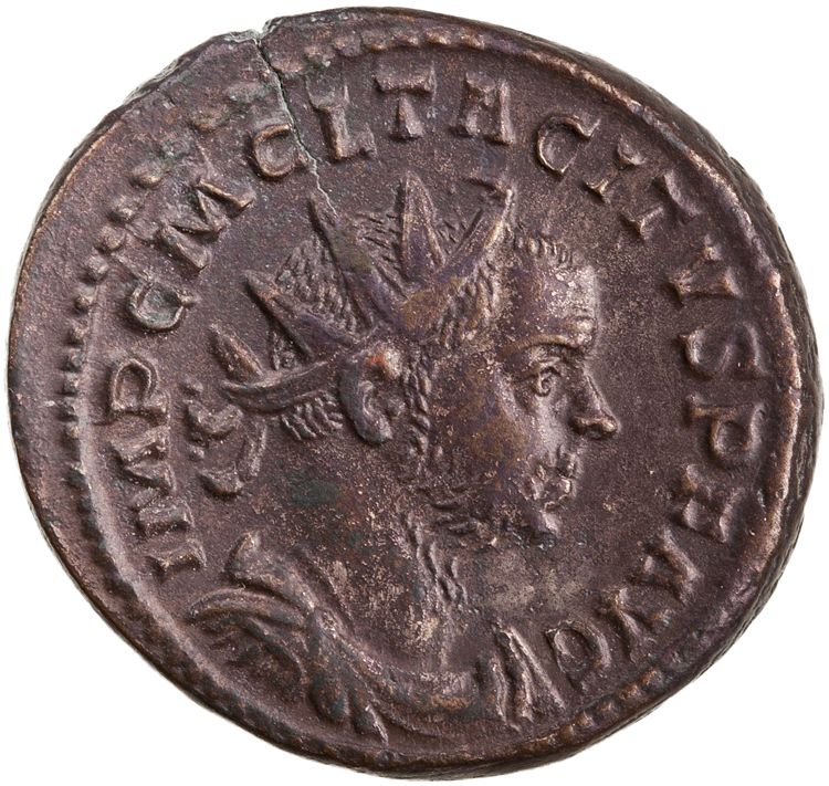 RIC V Tacitus 60, аверс, American Numismatic Society (ans)