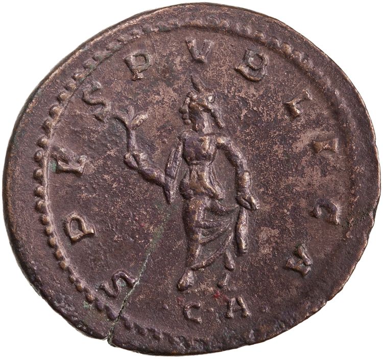 RIC V Tacitus 60, реверс, American Numismatic Society (ans)