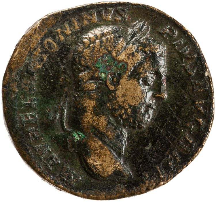 RIC IV Caracalla 479A, obverse, American Numismatic Society (ans)