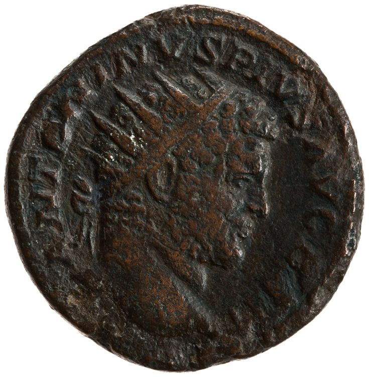 RIC IV Caracalla 501, аверс, American Numismatic Society (ans)