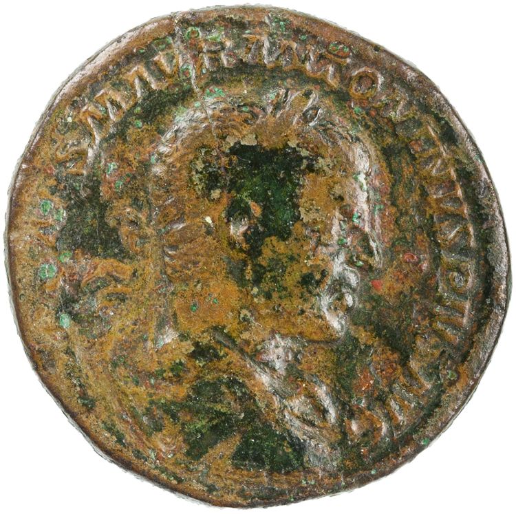 RIC IV Elagabalus 358d, аверс, American Numismatic Society (ans)