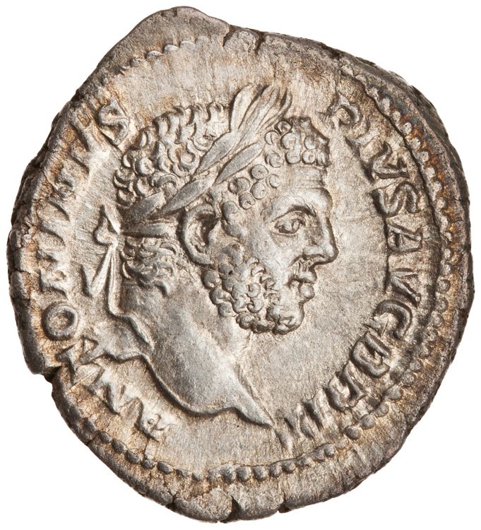 RIC IV Caracalla 196, аверс, American Numismatic Society (ans)