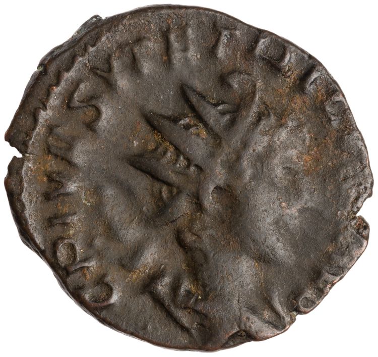 RIC V Tetricus I 224, аверс, American Numismatic Society (ans)