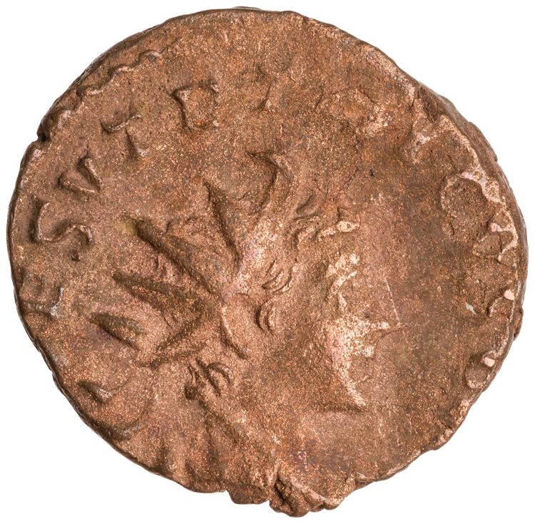 RIC V Tetricus I 224, аверс, American Numismatic Society (ans)