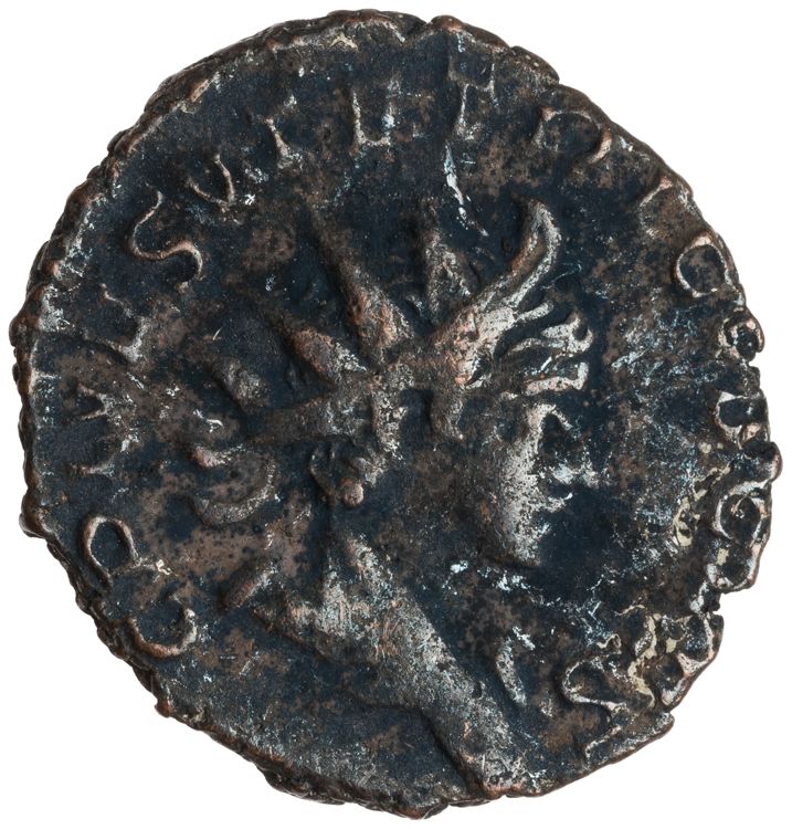 RIC V Tetricus I 224, аверс, American Numismatic Society (ans)